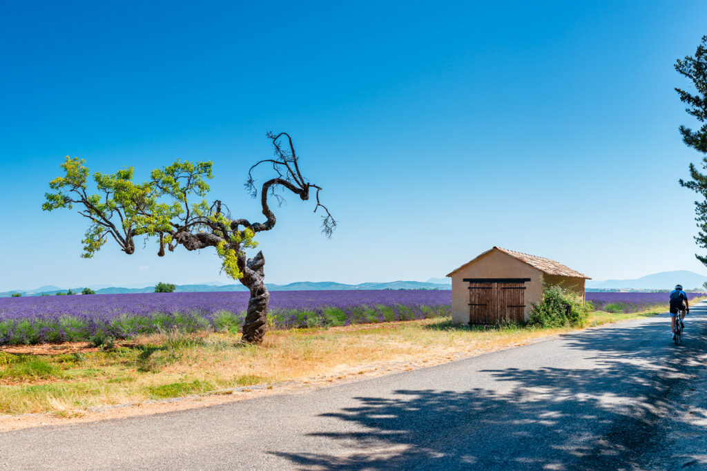 Conseils vacances d’été : un road trip sur l’autoroute du Soleil