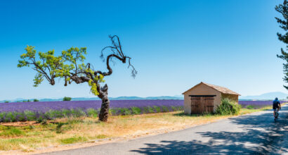 Conseils vacances d’été : un road trip sur l’autoroute du Soleil