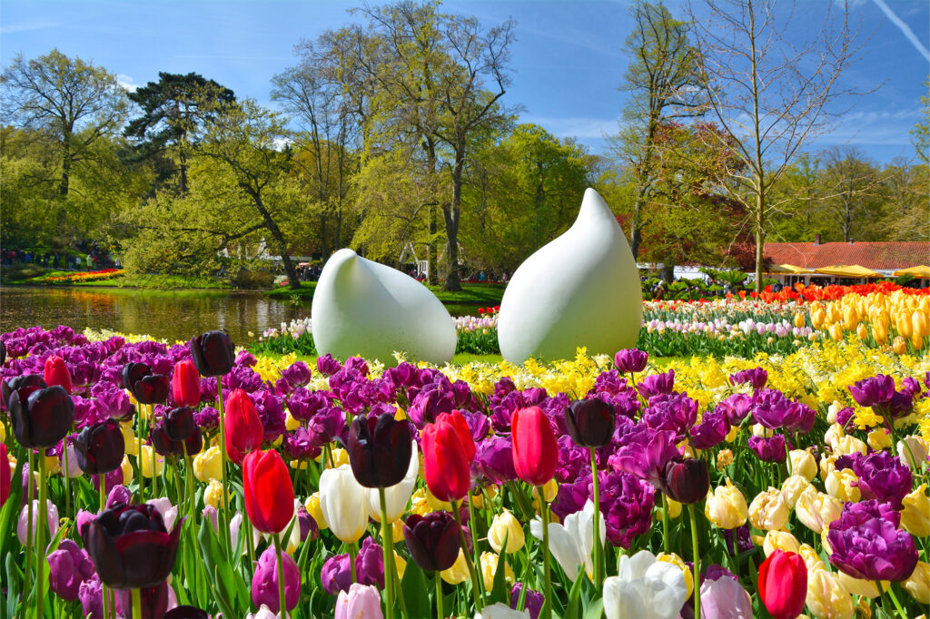 Keukenhof : visitez le plus beau jardin de tulipes d'Europe