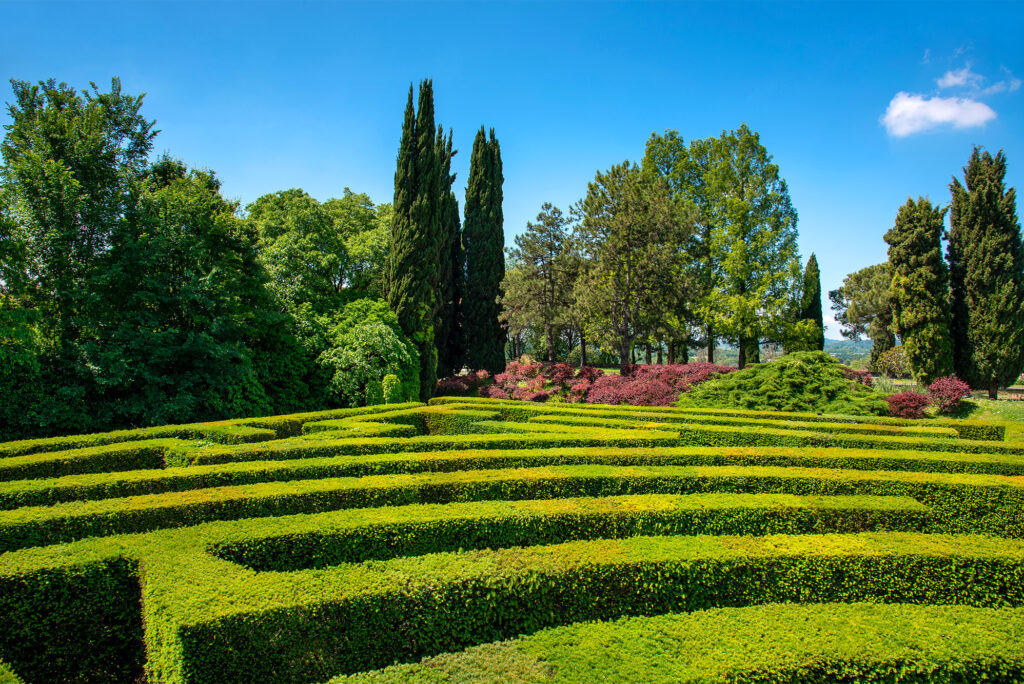 5 labyrinthes que vous devez découvrir en Belgique