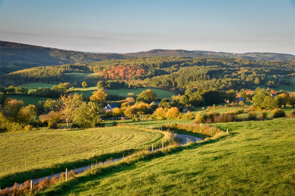 Nos 3 parcours de trekking favoris dans les Ardennes belges