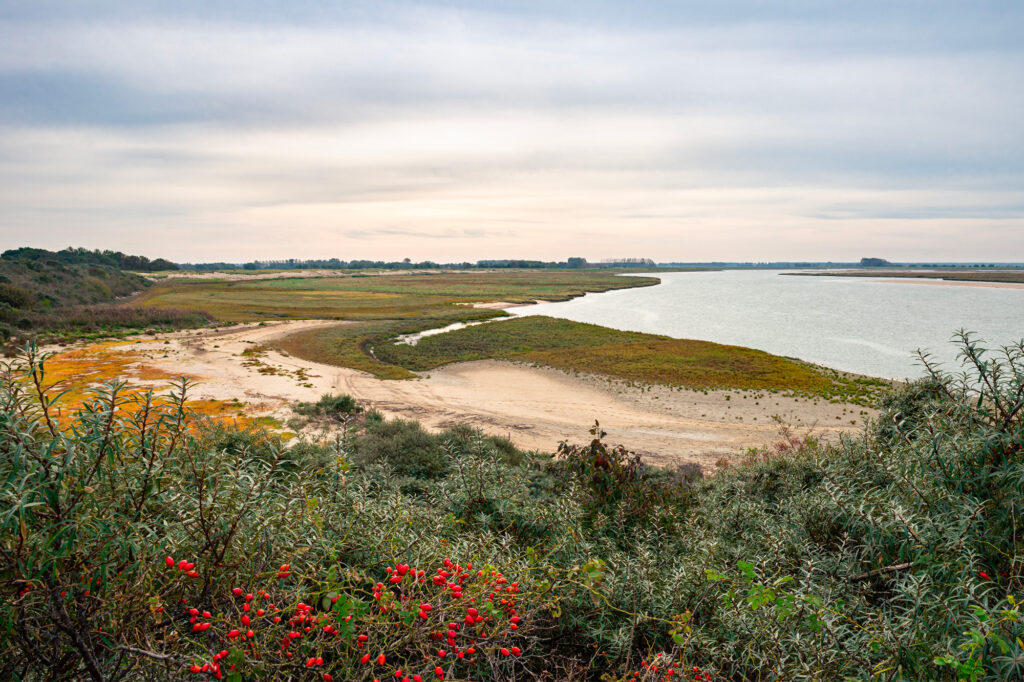 Notre classement des meilleurs parcs naturels de Belgique et d'Allemagne