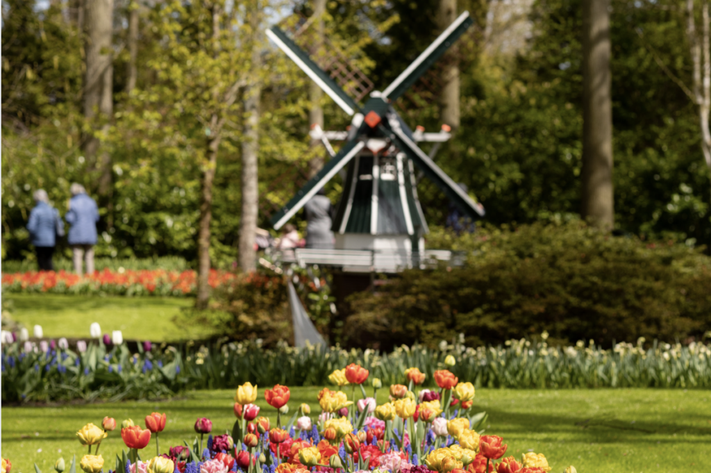 keukenhof_2025_sejours_florales_pour_decouvrir_les_plus_beaux_jardins_deurope