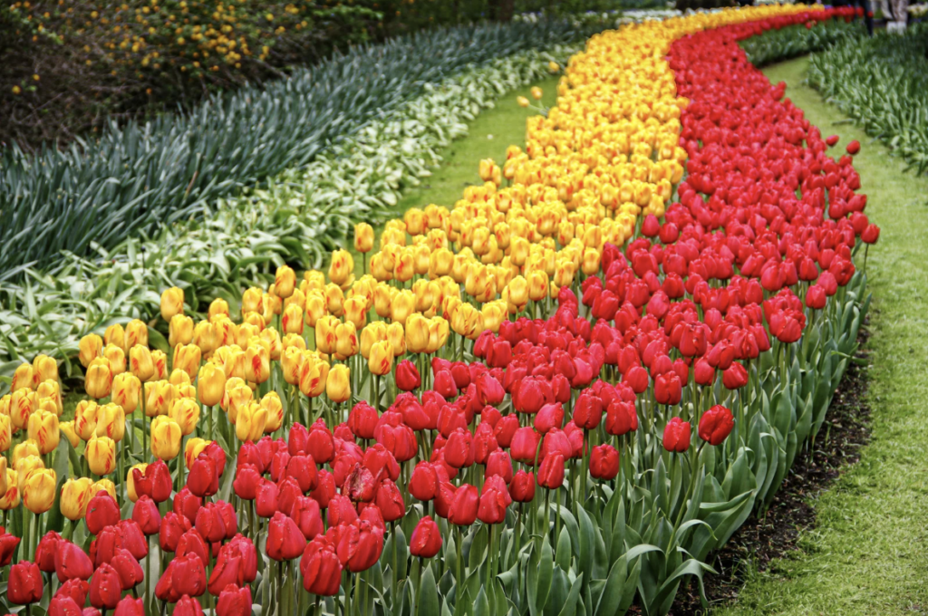 keukenhof_2025_sejours_florales_pour_decouvrir_les_plus_beaux_jardins_deurope