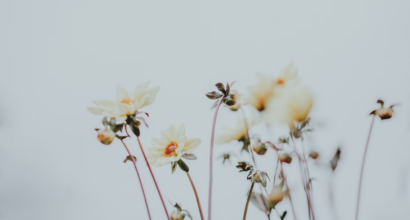 escapades_de_pentecote_2025_idees_de_voyages_incontournables